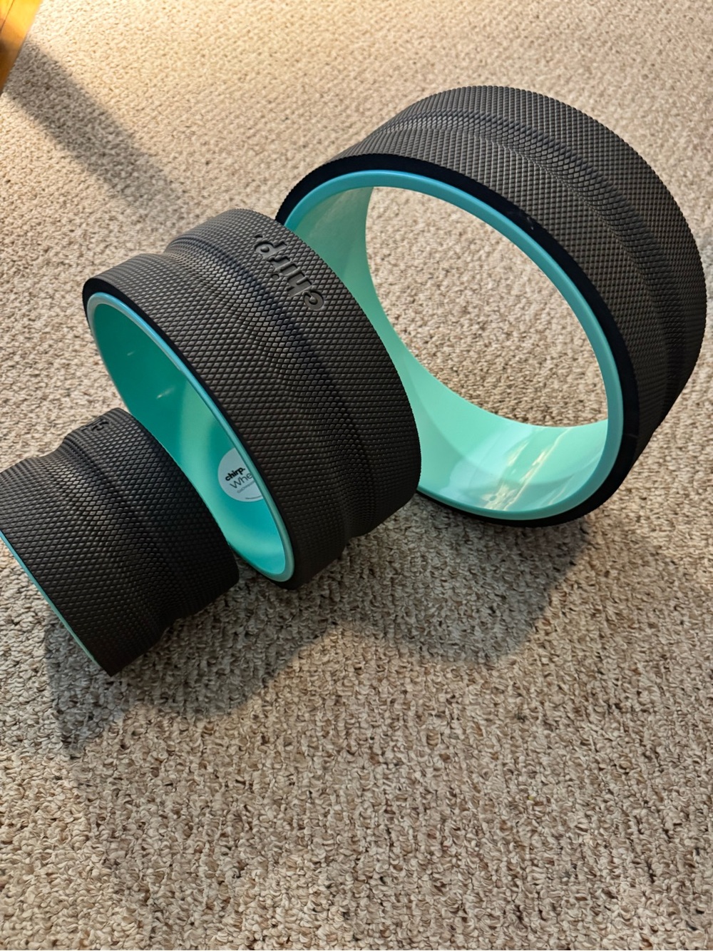 Chirp Balance Wheels - Black with Teal Interior